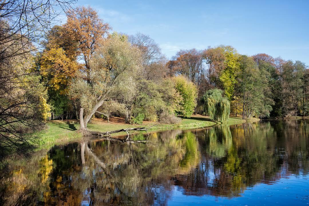 Skaryszewski-parken